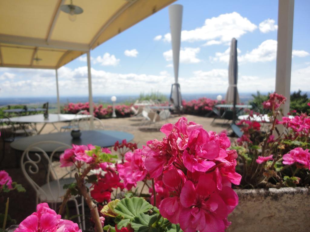 Auberge Les Hauts De Chenas Ngoại thất bức ảnh