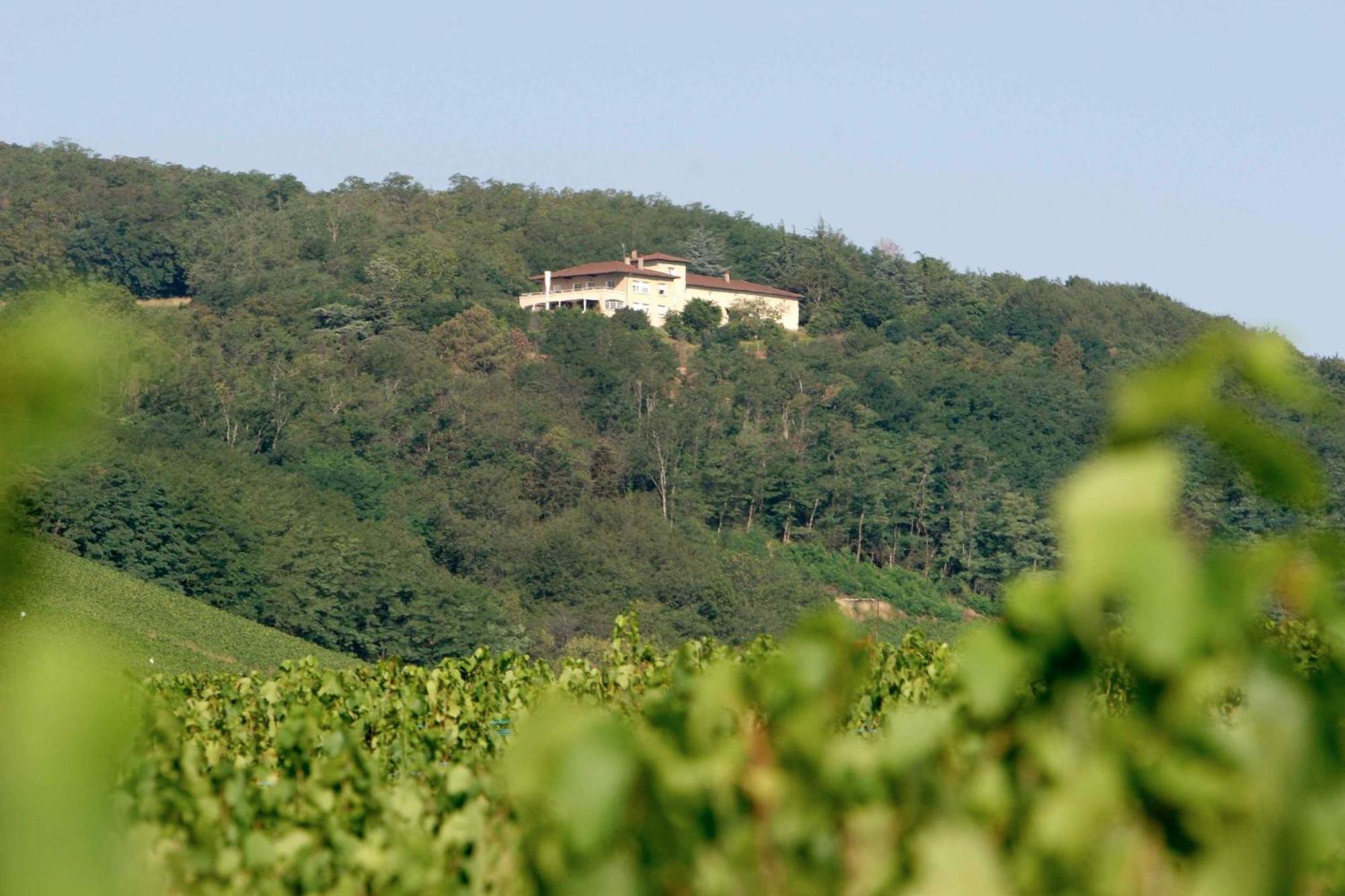 Auberge Les Hauts De Chenas Ngoại thất bức ảnh